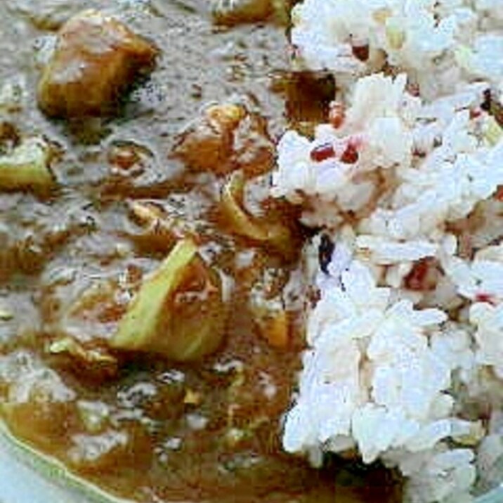 とろっと玉ねぎのチキンカレー